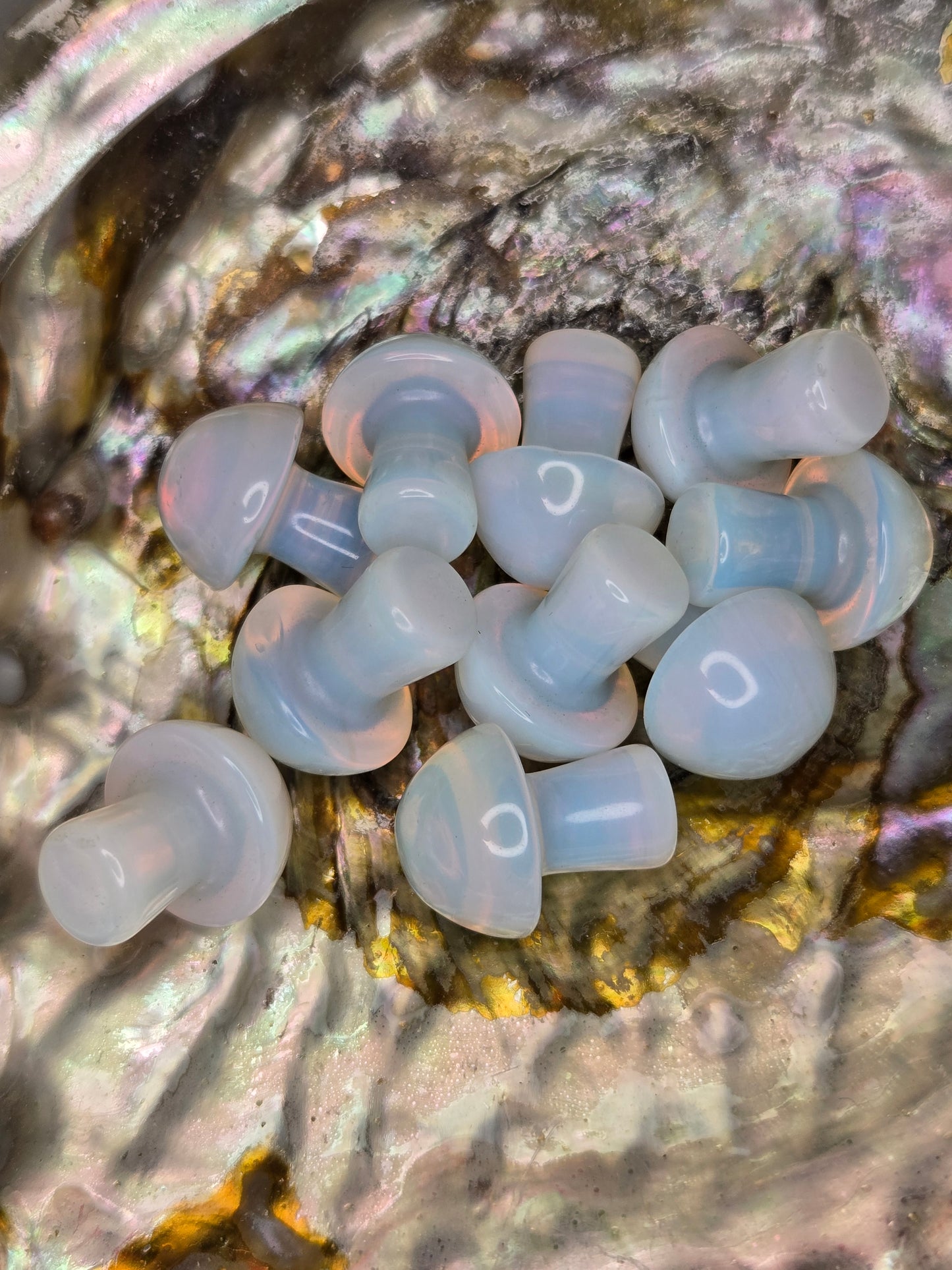 Small Crystal Mushroom Variety