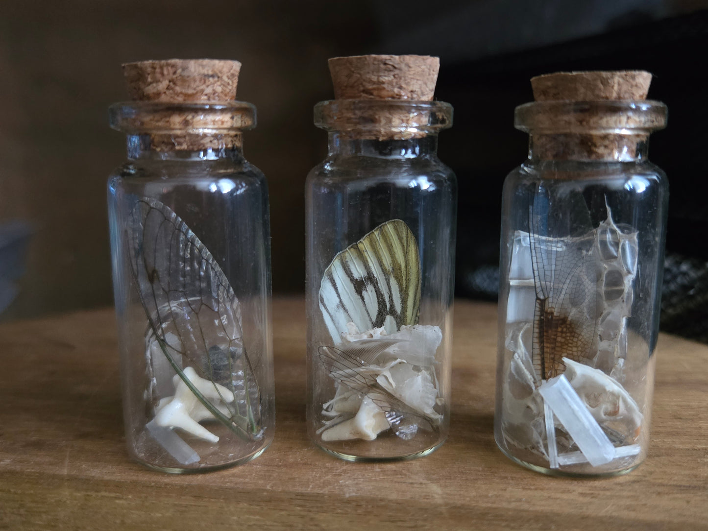 Oddity Jars