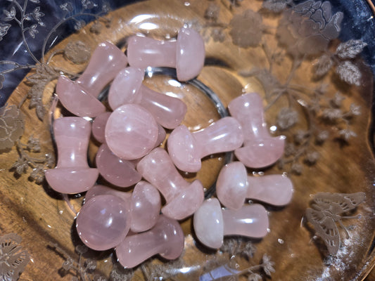 Large Crystal Mushrooms