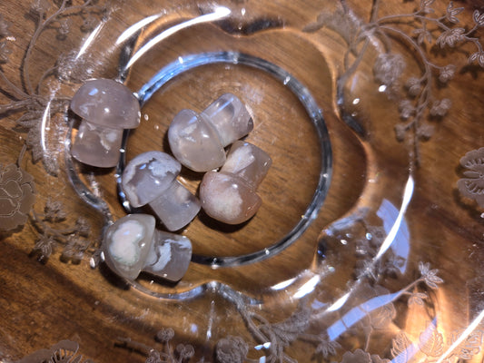 Small Crystal Mushroom Variety