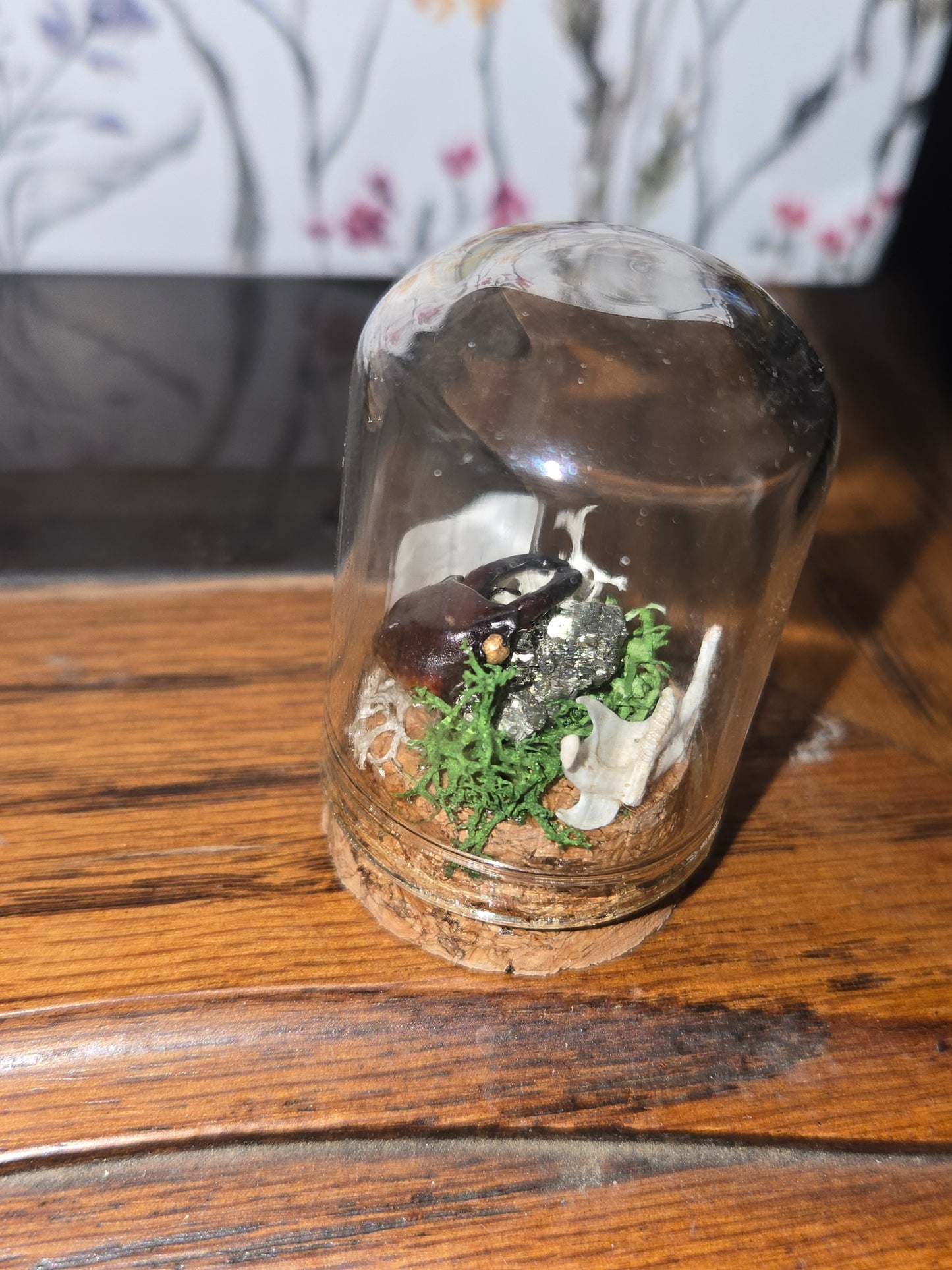 Oddity Jars