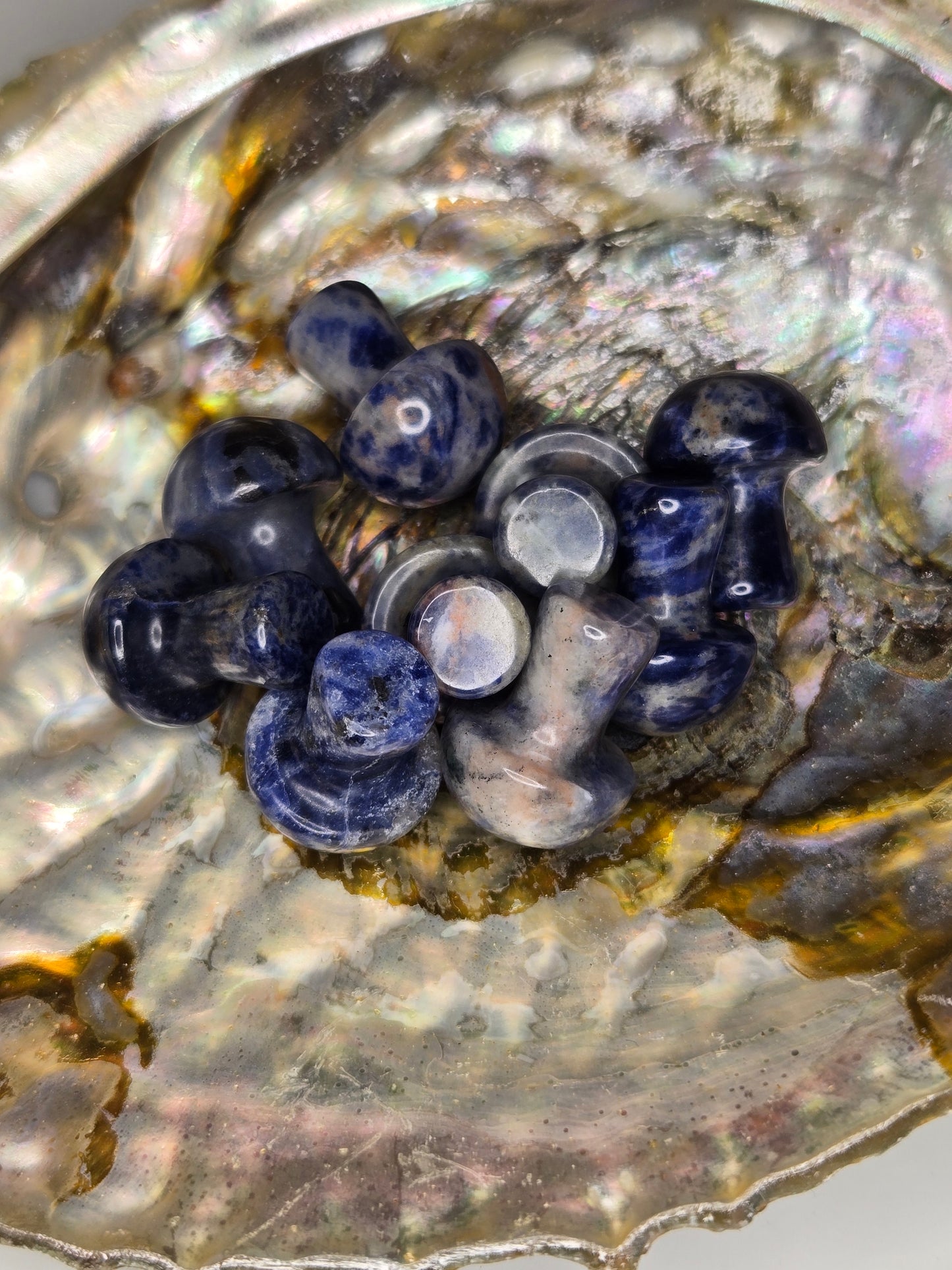 Small Crystal Mushroom Variety