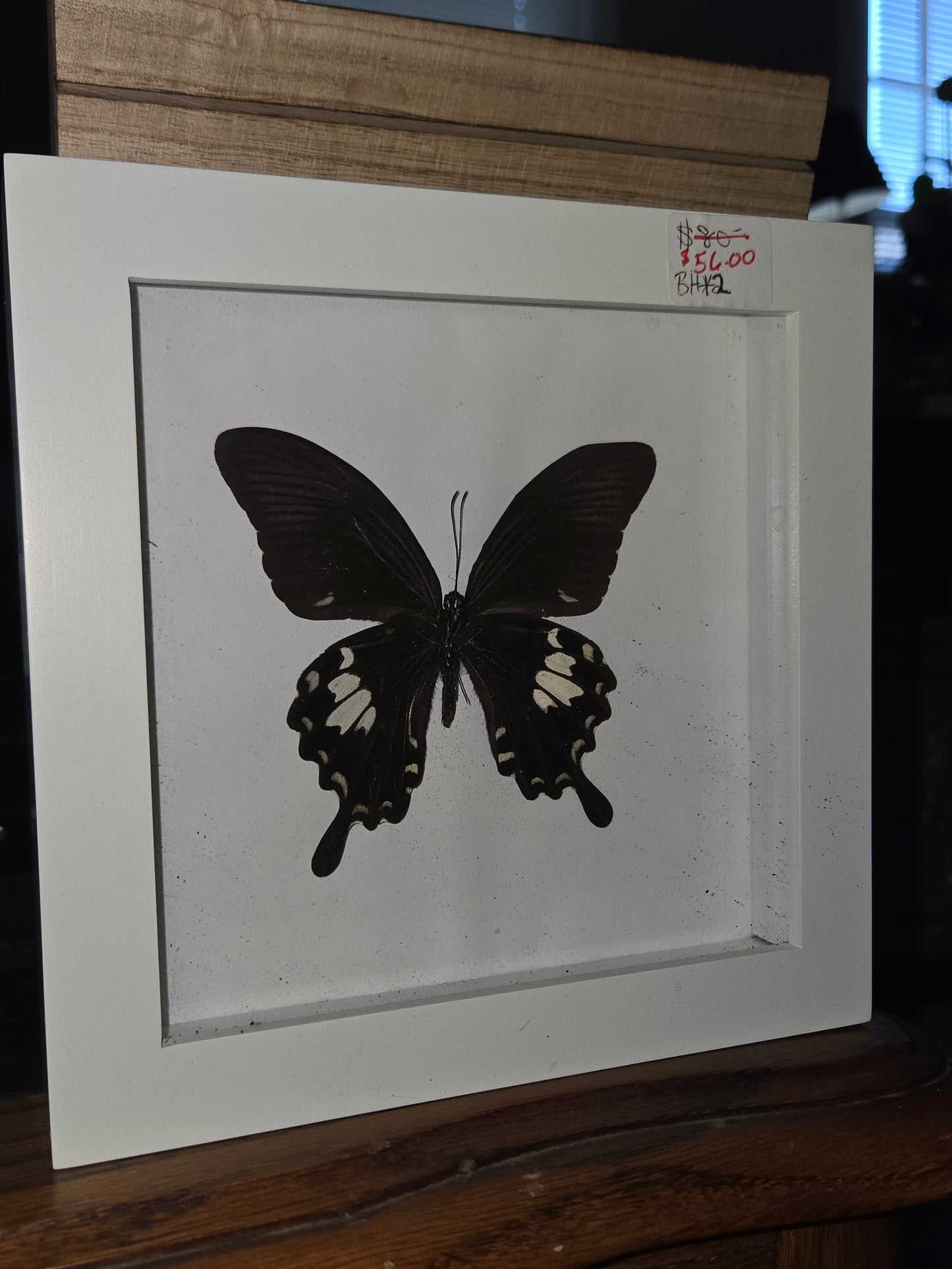Bug Frames