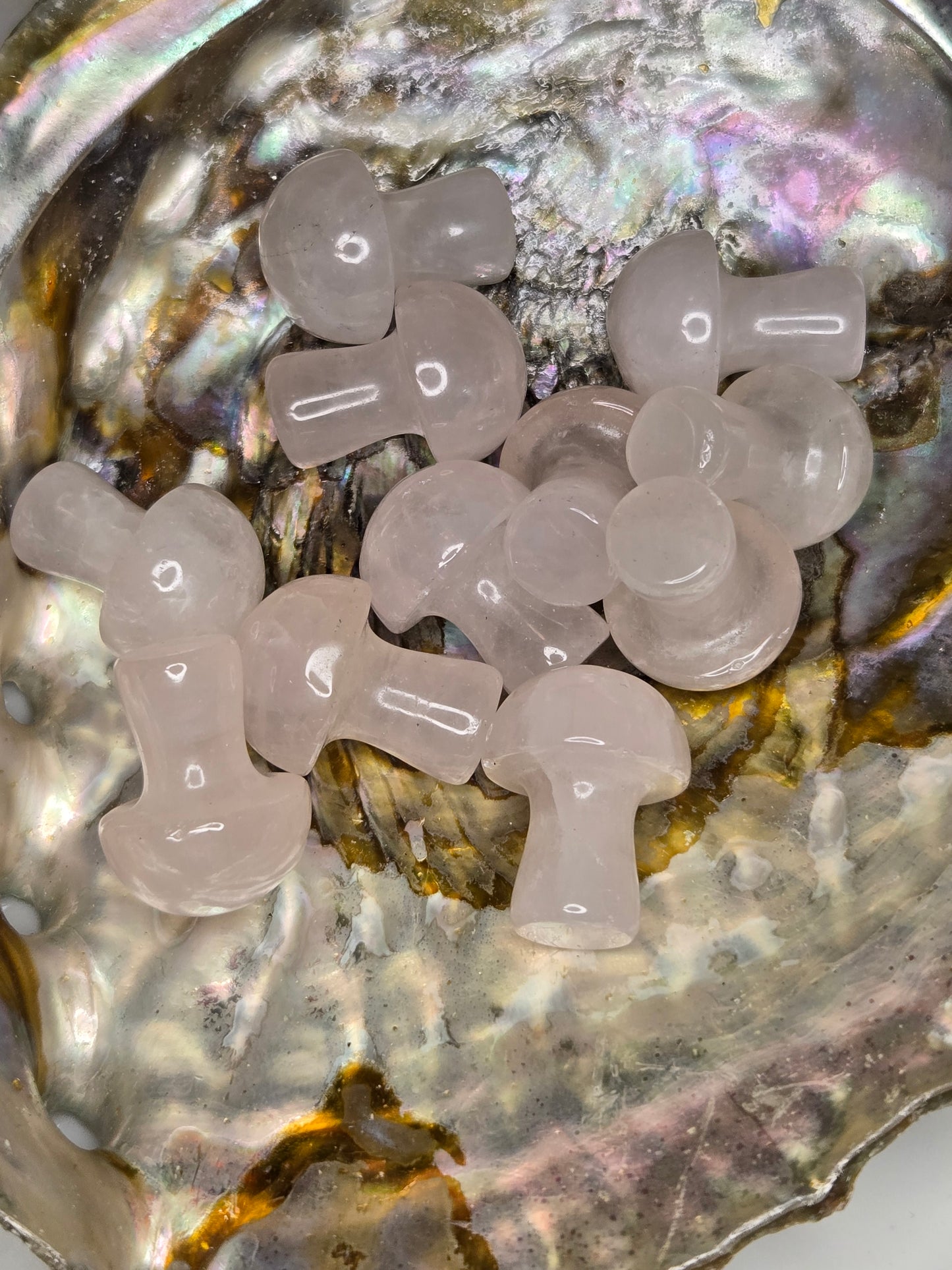 Small Crystal Mushroom Variety