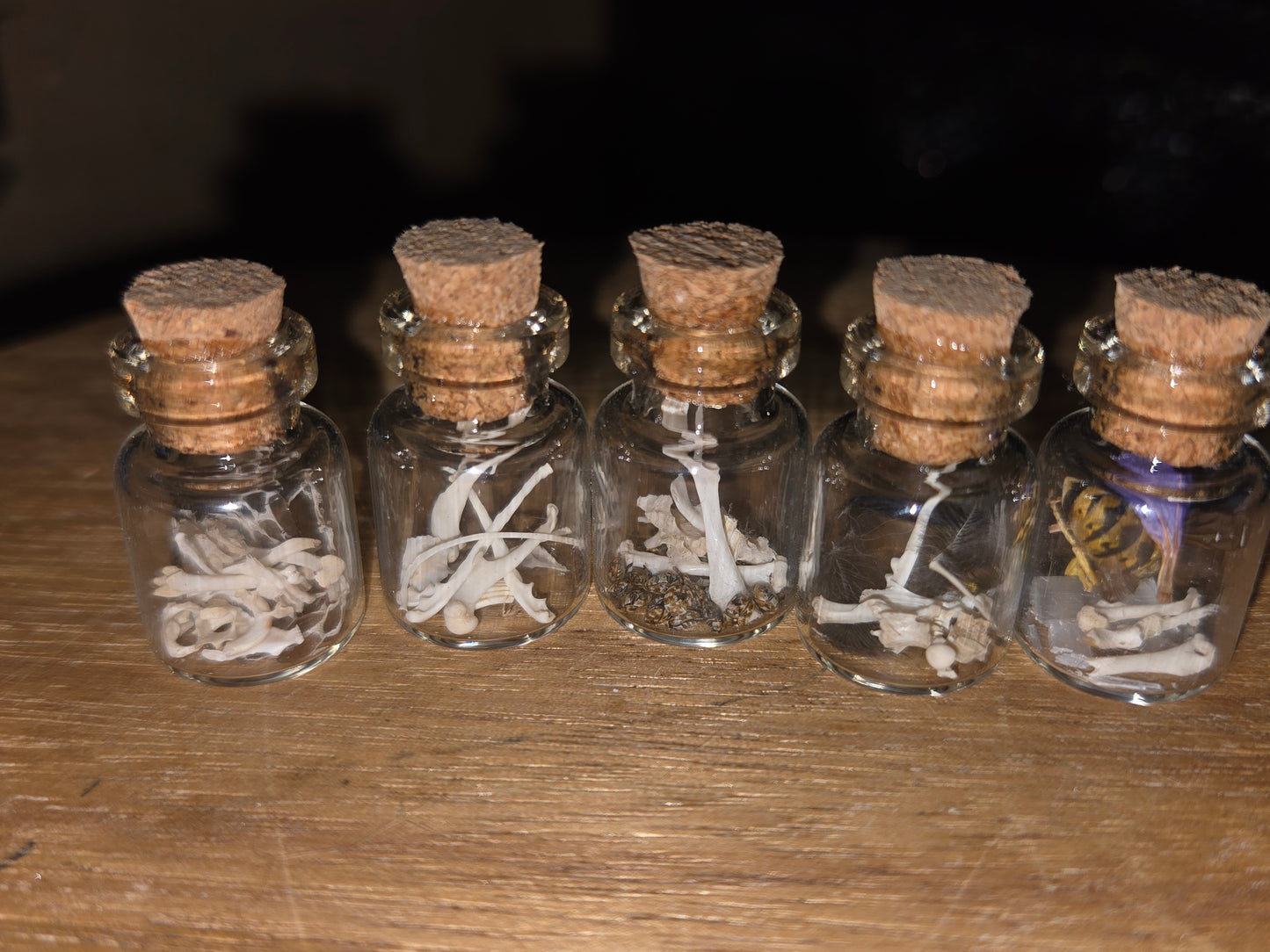 Oddity Jars