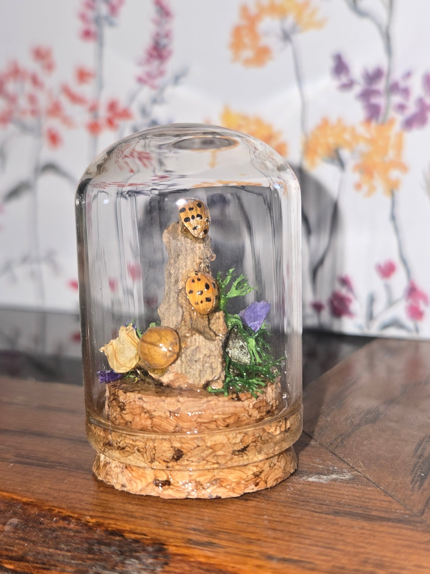 Oddity Jars