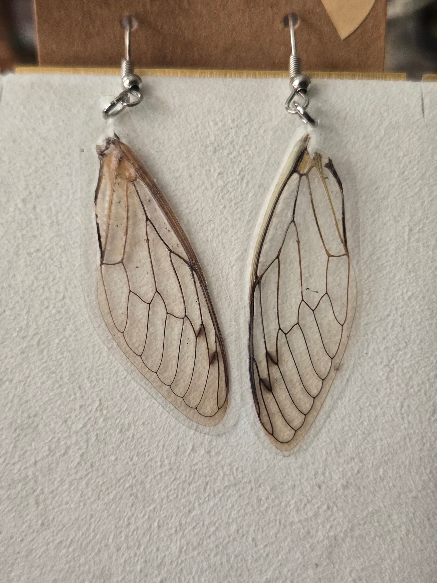 Wing Earrings