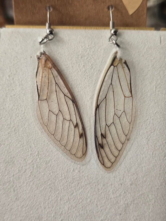 Wing Earrings